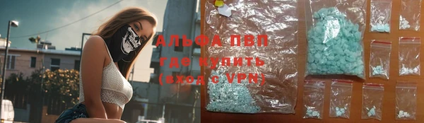 мдпв Богородицк