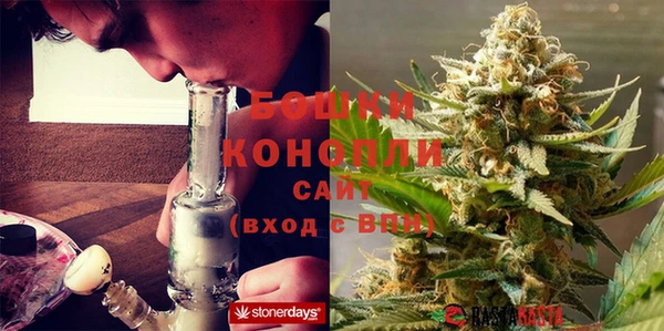 мдпв Богородицк