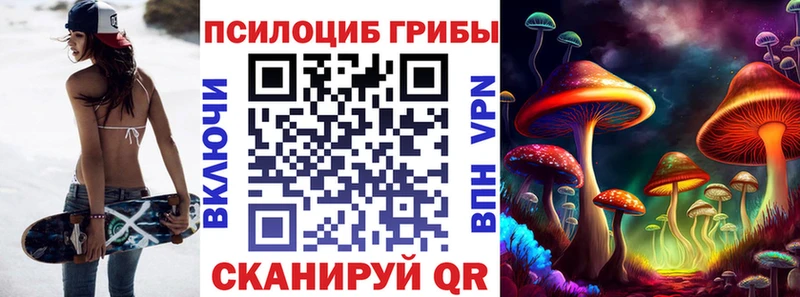закладки  Дигора  omg онион  Псилоцибиновые грибы Psilocybe 